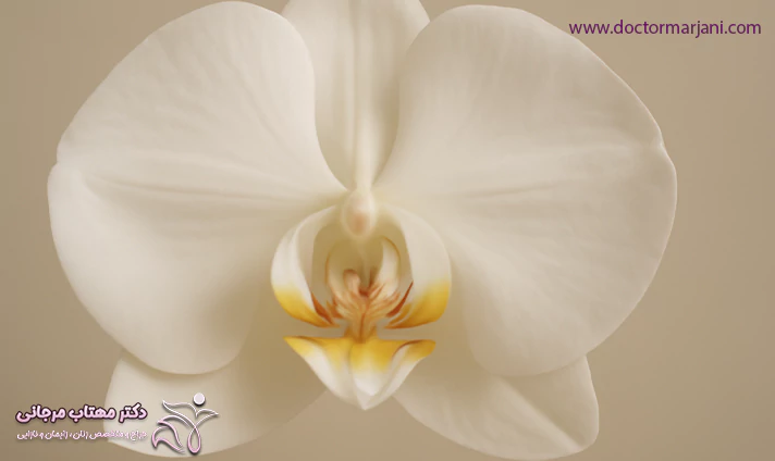 مزایای سفید کردن واژن